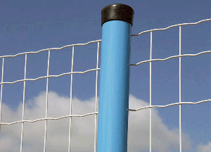 ��·���o(h��)�W(w��ng)�İl(f��)չ�΄�(sh��)�cڅ��(sh��)��B��